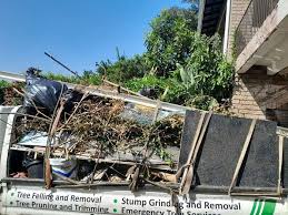 Best Office Cleanout  in Elleale, ND